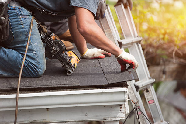 Best Local Roofing Companies  in Marion, MT