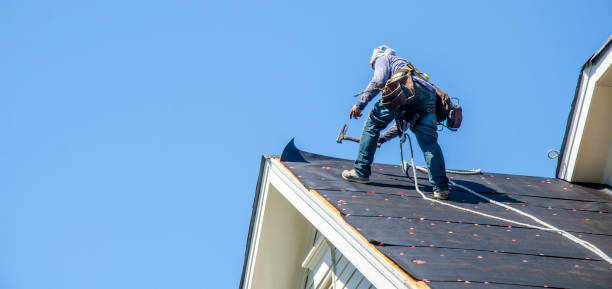 Best Storm Damage Roof Repair  in Marion, MT